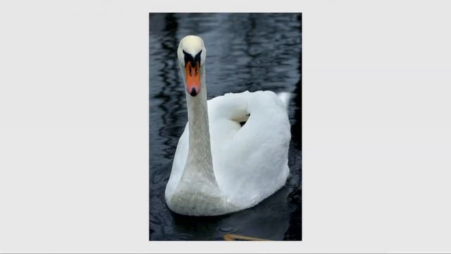 Мая Беларусь-8 & Nikon D200 смотреть онлайн