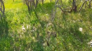 коп металла.настройки мд 4060