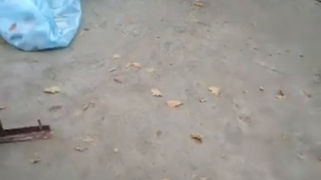 Устройство мембранной кровли пвх мембрана смотреть онлайн