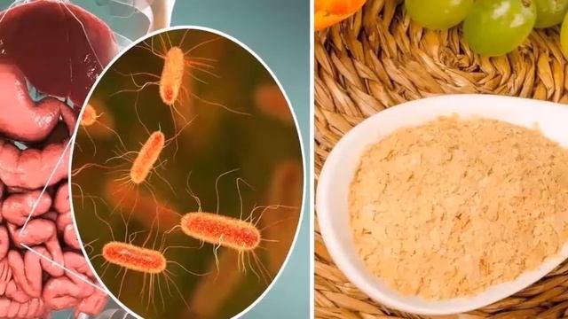 6 Proven Medicinal Benefits of Brewer’s Yeast смотреть онлайн