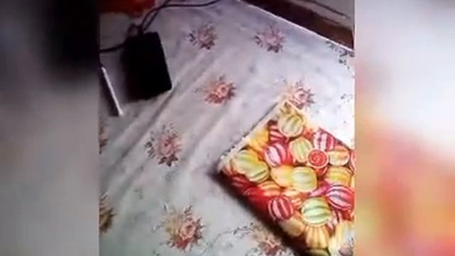 Эксперимент с фотоаппаратом что-то странное попало в кадр смотреть онлайн