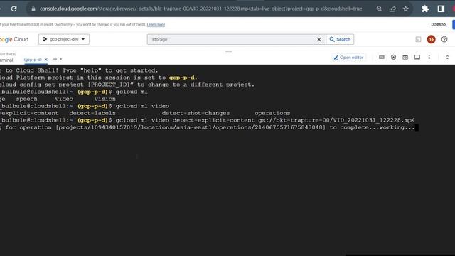 Unlocking Insights: Exploring Google Cloud Video Intelligence API смотреть онлайн