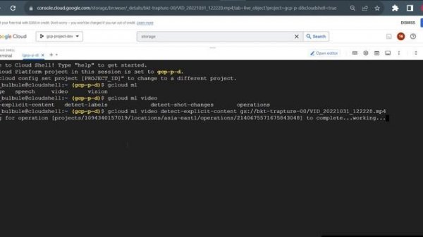 Unlocking Insights: Exploring Google Cloud Video Intelligence API