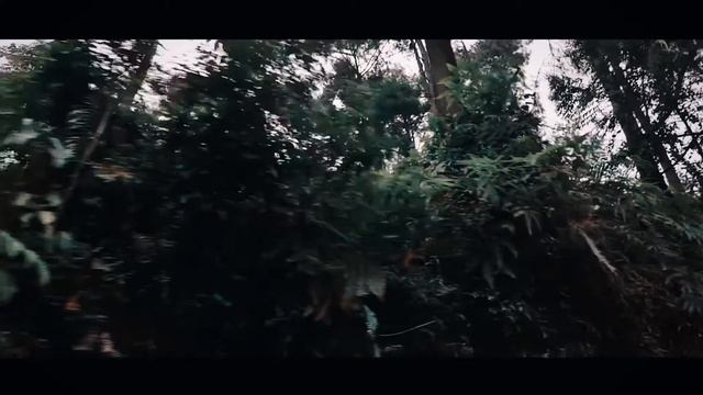 Bogor West Java,Indonesia (Sam Kolder Inspired) смотреть онлайн