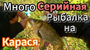 КЛЁВ КАРАСЯ В АВГУСТЕ ПЕРВАЯ СЕРИЯ