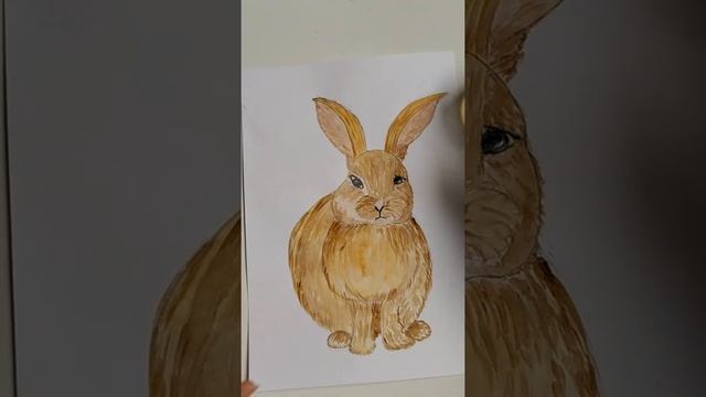 Рисуем зайчика . Для детей 8-10 лет 3 часть смотреть онлайн
