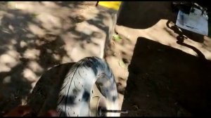 Мото-путешествие на мопеде Сигма. Часть 2, Астрахань.