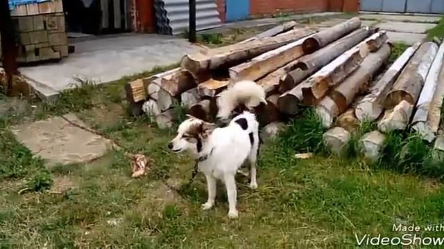 Не Тюмень// ЛЕТО//ДЕРЕВНЯ смотреть онлайн