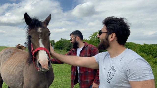 Сулакский каньон смотреть онлайн