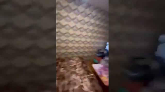 Продается 3-ком. квар. Республика Крым, Симферополь, ул. Гагарина 3/5 эт. +79789553355 смотреть онлайн