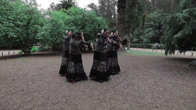 Flamenco Oriental - Azah Danza смотреть онлайн