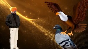 Индия. Кастовая система и интересные обычаи.