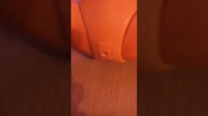 Мама я обкакалась.