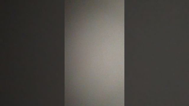 ЧУДЕСНОЕ ПУТЕШЕСТВИЕ НИЛЬСА С ДИКИМИ ГУСЯМИ. смотреть онлайн