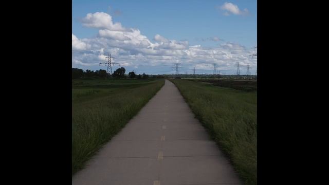 Wordly смотреть онлайн