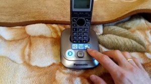 Обзор на  Телефон PANASONIC KX-TG 2521 CAT на товар из магазина SULPAK