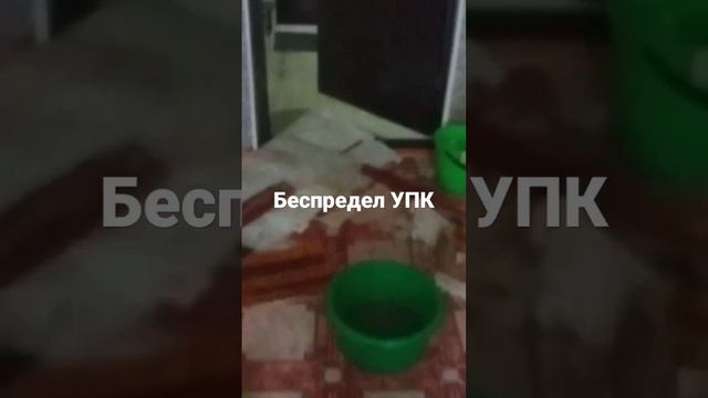 беспредел УПК #ижевск #Удмуртия #управляющая смотреть онлайн