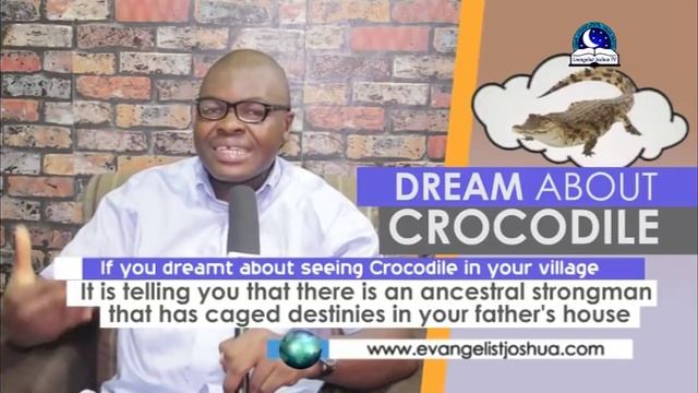 DREAMS ABOUT CROCODILES - Find Out The Biblical Dream Meanings смотреть онлайн