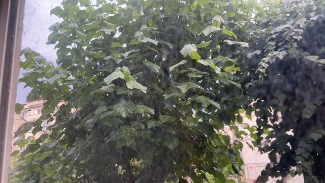 Накрыл ливень , а внучки без зонтов ! смотреть онлайн