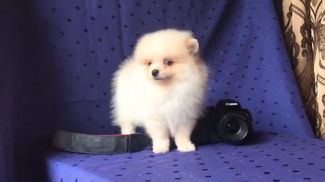 Милаш смотреть онлайн