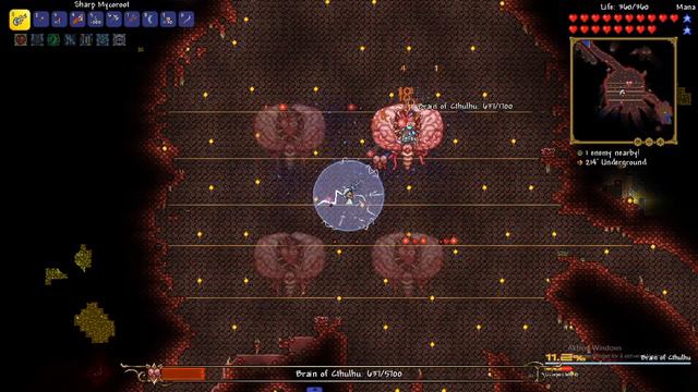 Brain of Cthulhu Expert Mode | Rouge Class (Terraria Calamity Mod) смотреть онлайн