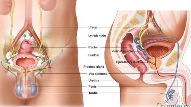 Инноватор и Новости