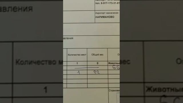 Щенки среднеазиатской овчарки алабаи питомника Таёжный Талисман.у нас есть свободные щенки #алабай смотреть онлайн