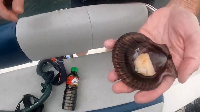 Вода в море + 30°! Самое жаркое лето во Владивостоке! Купаемся на островах. смотреть онлайн