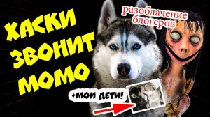 DOGVLOG: ЧТО ТАКОЕ МОМО? Почему MOMO страшно КРЯХТИТ и ШИПИТ? Говорящая собака #momo