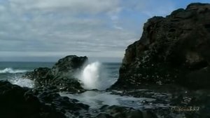 Светлана Сурганова.  Была мечта...