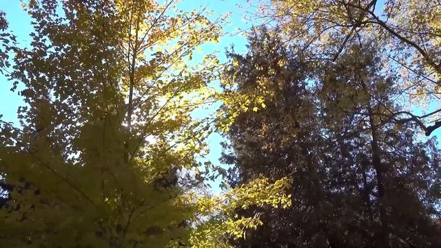 расслабляющая классическая музыка:  Бетховен | Моцарт | Шопен | Бах  Чайковский... Серия 18