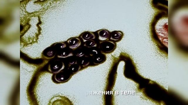 Ведётся набор в новую группу для детишек 5-8 лет. смотреть онлайн
