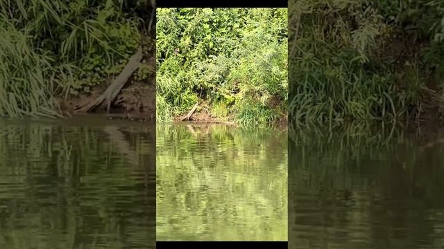 Рыбалка на реке Протва! смотреть онлайн