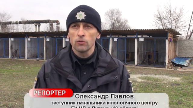 Знімальна група ІРТИ побувала в гостях у кінологічному центрі смотреть онлайн