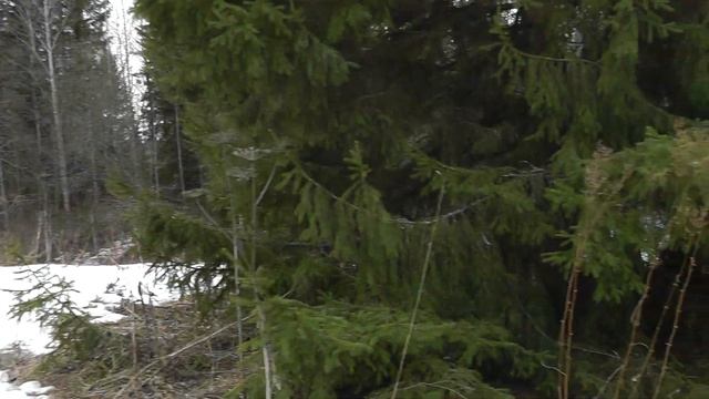 Легенда после ТХ-850 смотреть онлайн