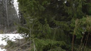 Легенда после ТХ-850