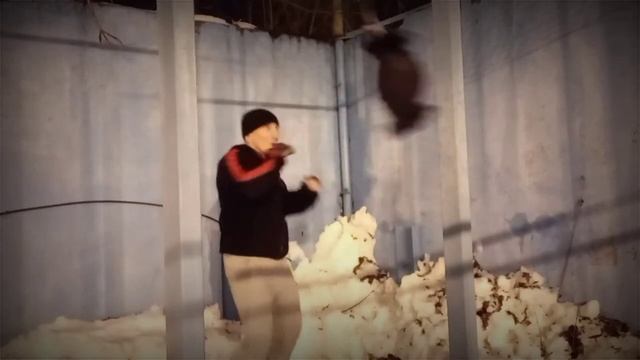 Работа на боксерской груше на растяжках смотреть онлайн