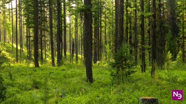 Восстановление Энергии