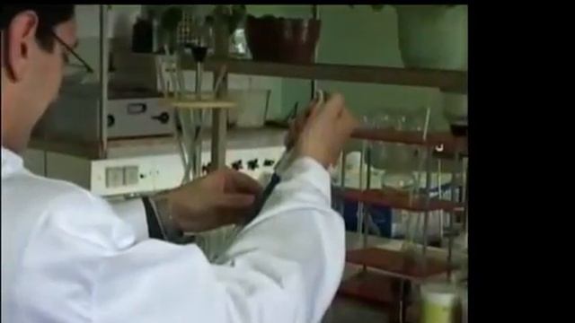 Чудо корень лопуха смотреть онлайн