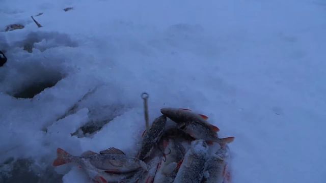 Поморская блесна 2017 смотреть онлайн