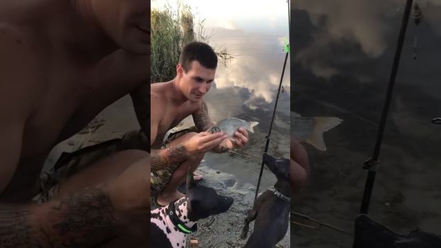 #shots #рыбалка #отдыхдикарями ловим рыбу смотреть онлайн