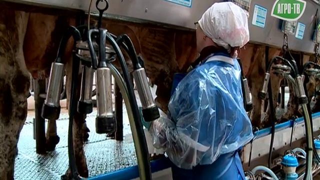 Аграрная азбука России. Псковская область. смотреть онлайн