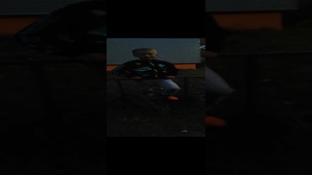 VID_20240904_194633.mp4