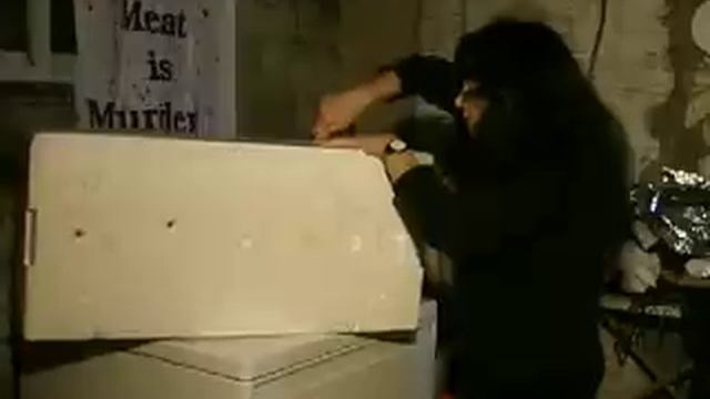 Feral Cat Shelter - Cheap And Easy, Part 1