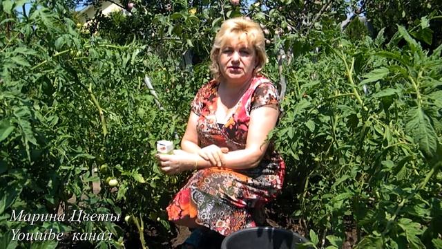 ЯНТАРНАЯ КИСЛОТА - БУДУЩЕЕ ПОМИДОР ! смотреть онлайн