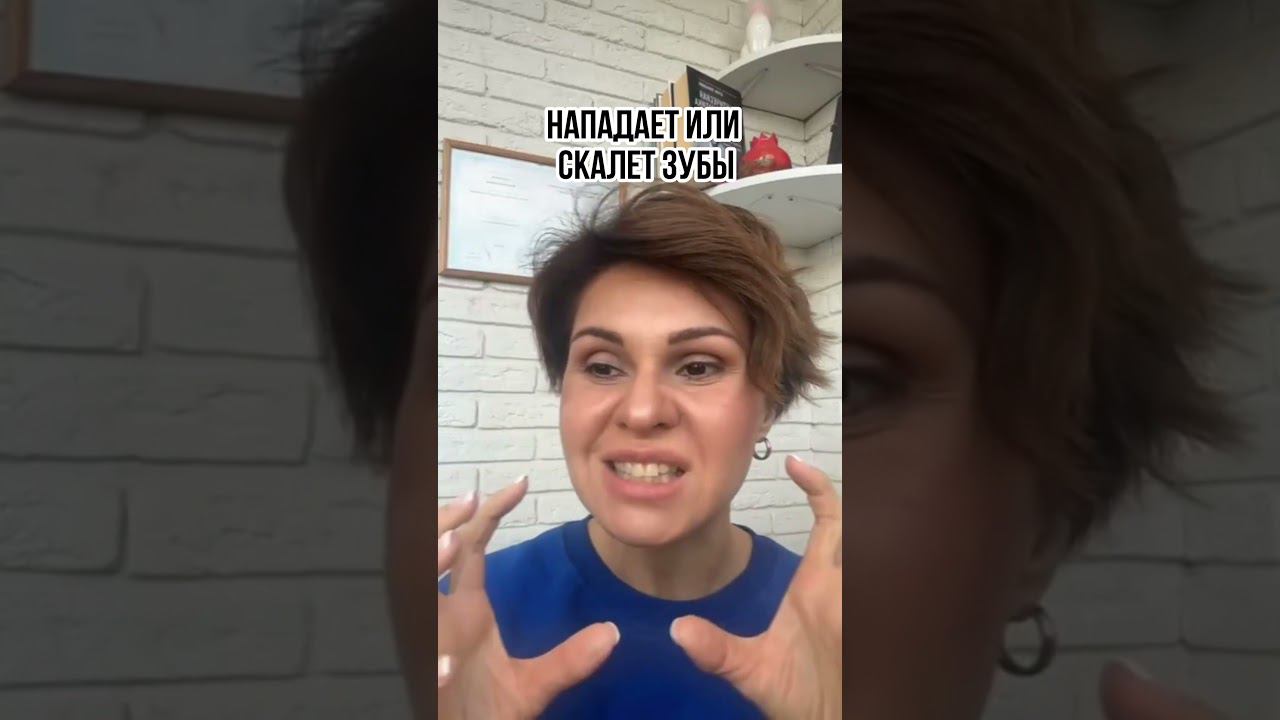 Чем отличаются эмоции от состояния смотреть онлайн