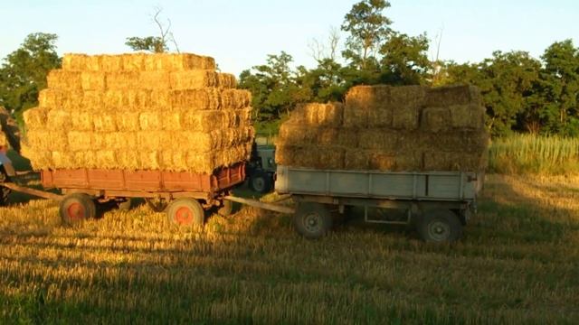 Пресс-подборщик FORTSCHRITT (Фортшрит) К454 трактор МТЗ80 Беларус 920 смотреть онлайн