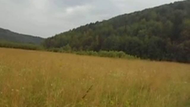 Звуки природы перед дождем и эхо смотреть онлайн