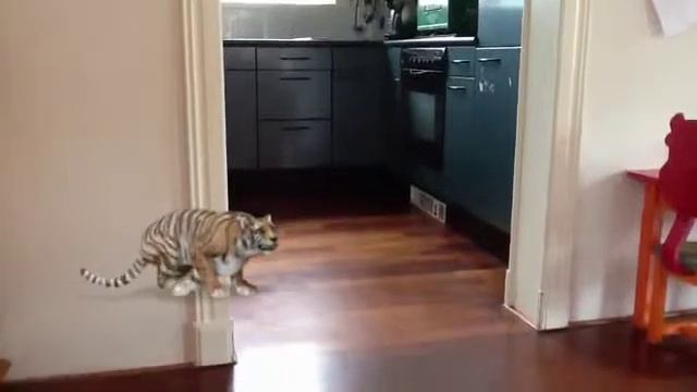 Creatures FX Mobile App смотреть онлайн