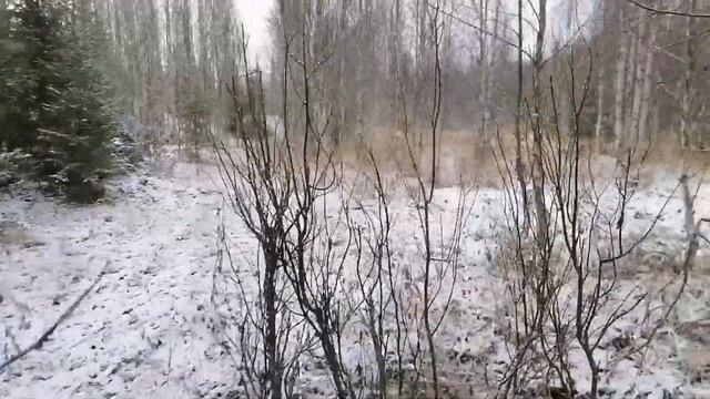 Очередной выезд в лес. на каракате на ближнюю избу. смотреть онлайн